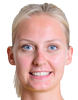 N. Schmitt